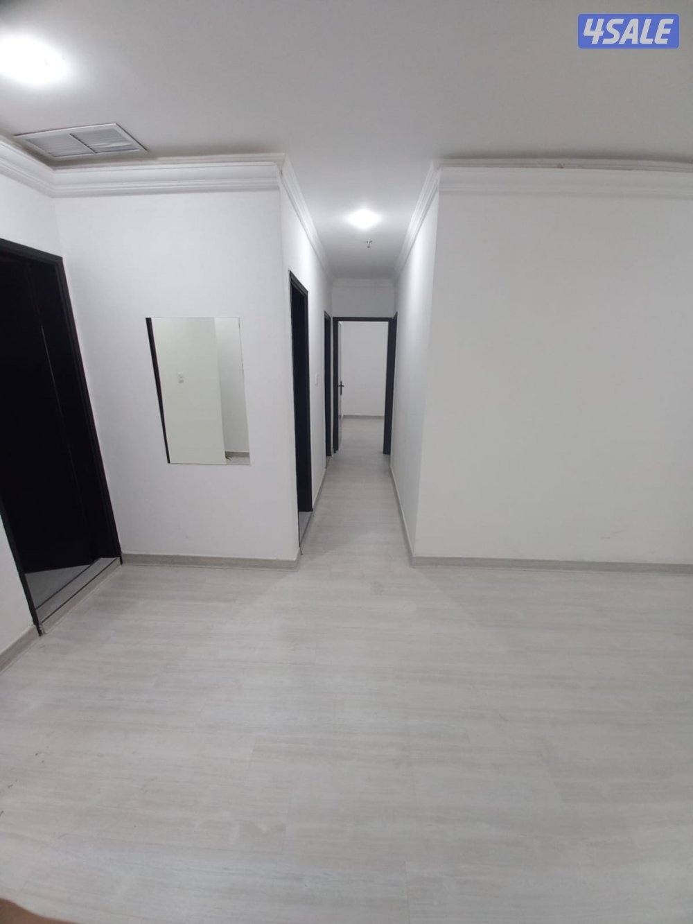 ميدان حولي2