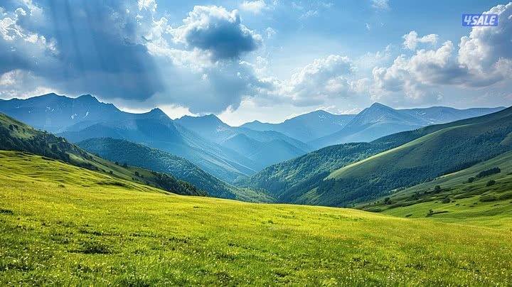 للبيع عمارة في حولي0