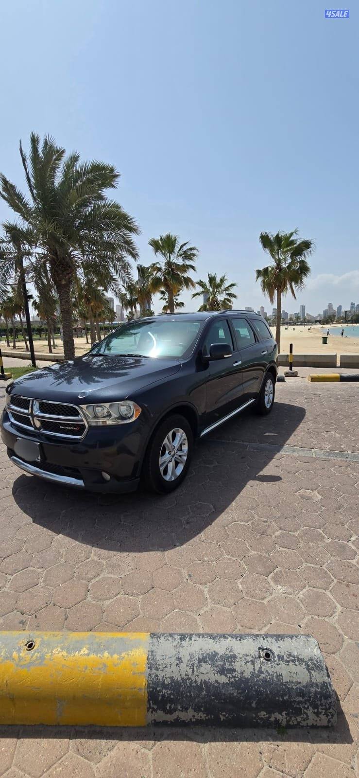 صبغ المصنع قمة في النظافة كامل المواصفات3