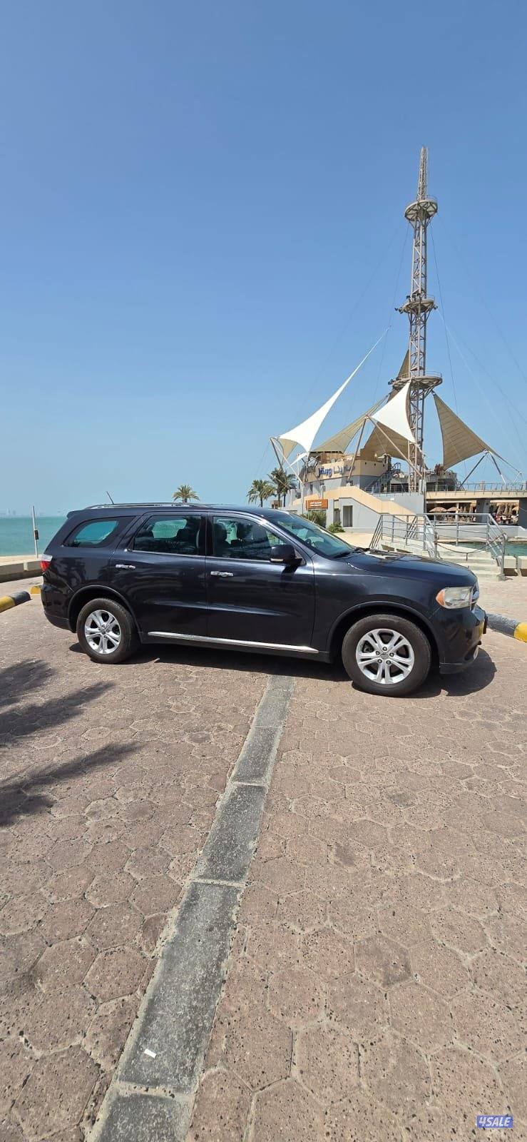 صبغ المصنع قمة في النظافة كامل المواصفات4