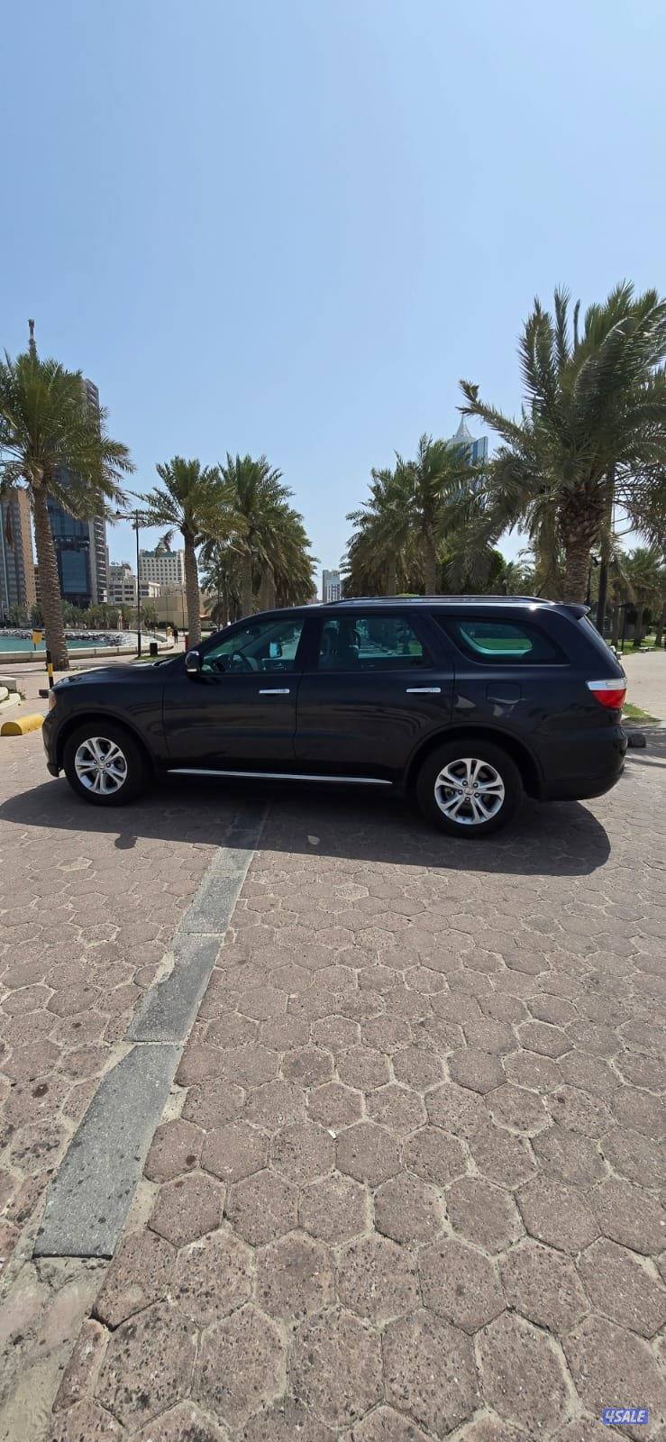 صبغ المصنع قمة في النظافة كامل المواصفات5