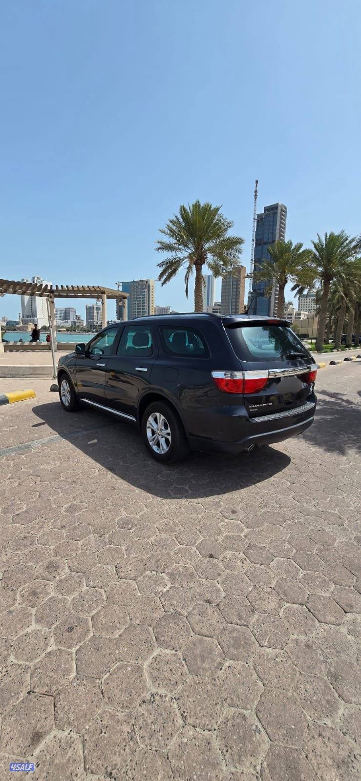 صبغ المصنع قمة في النظافة كامل المواصفات7