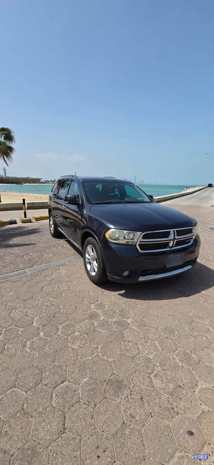 صبغ المصنع قمة في النظافة كامل المواصفات8