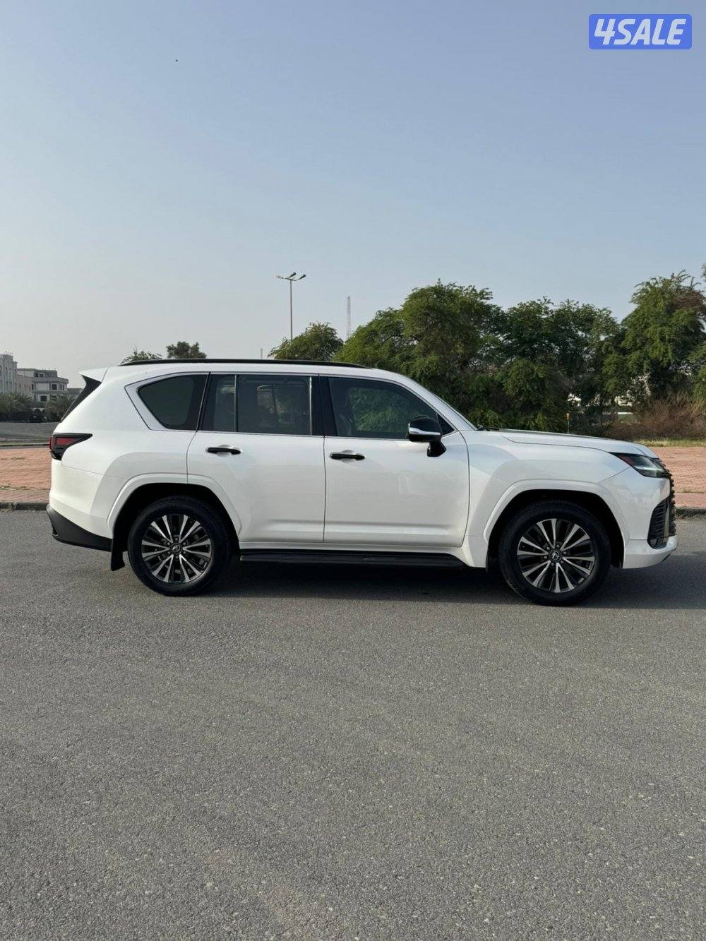 الساير صبغ الوكالة2