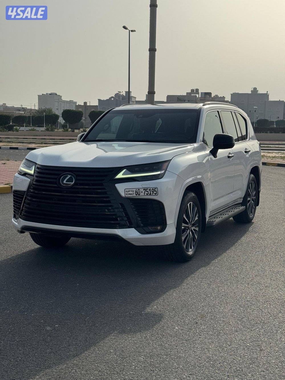 الساير صبغ الوكالة3