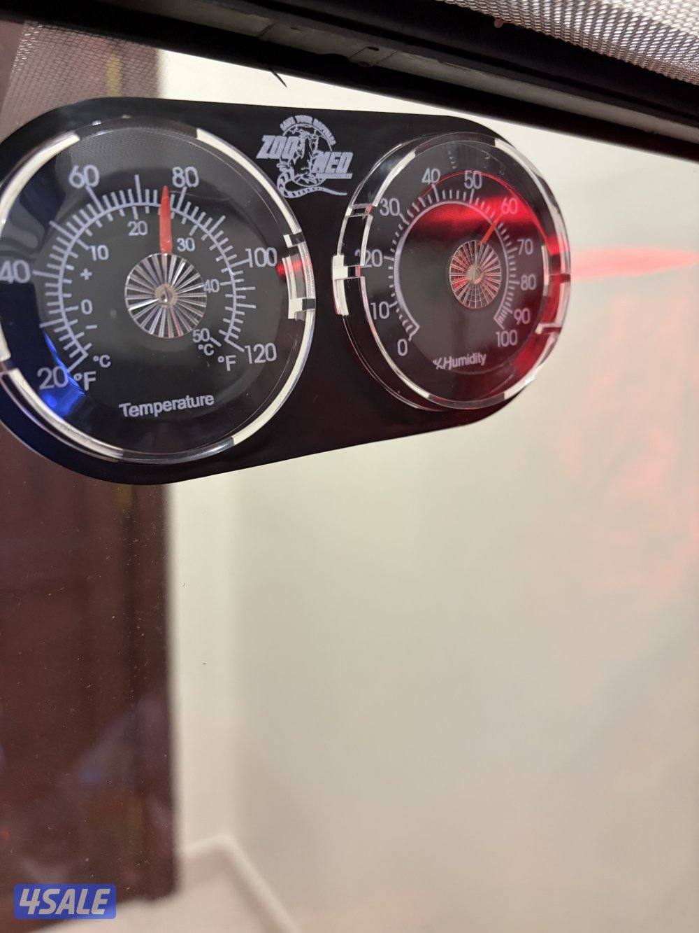 للبيع حرباء مع مستلزماتها9