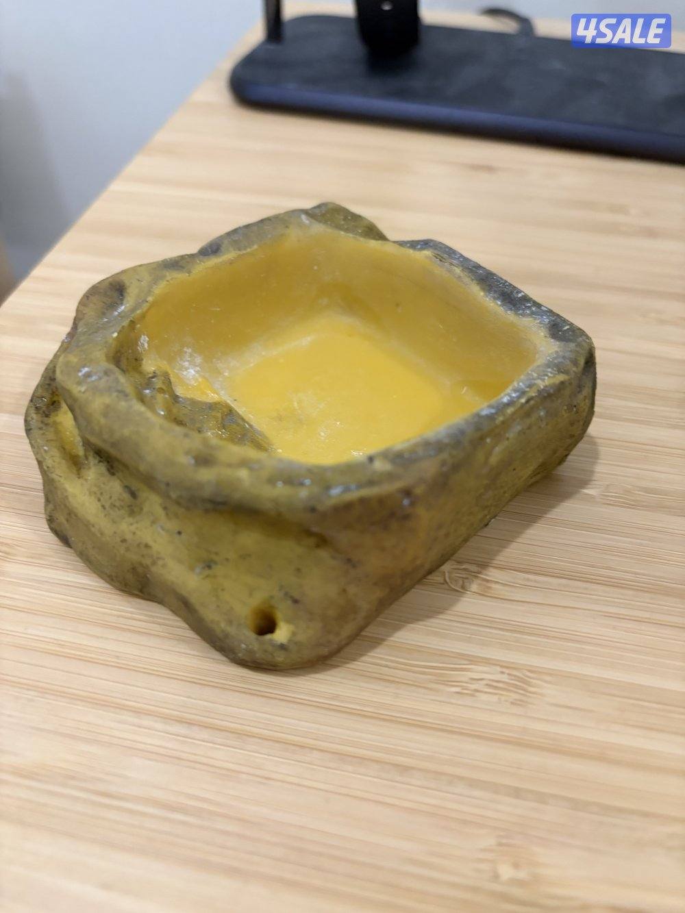 للبيع حرباء مع مستلزماتها10