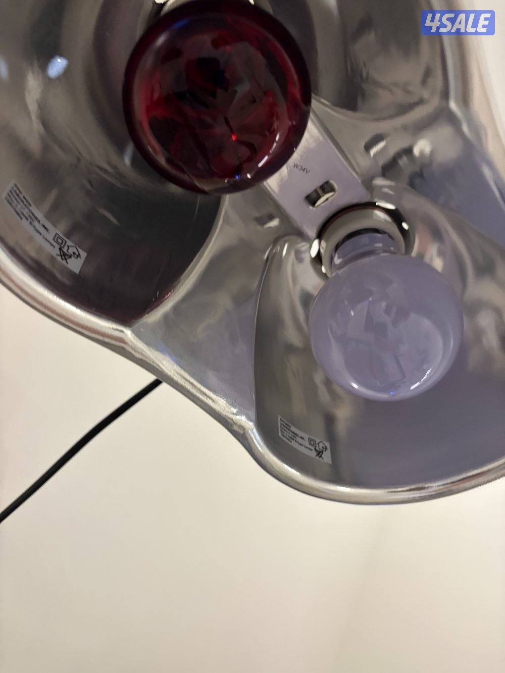 للبيع حرباء مع مستلزماتها11