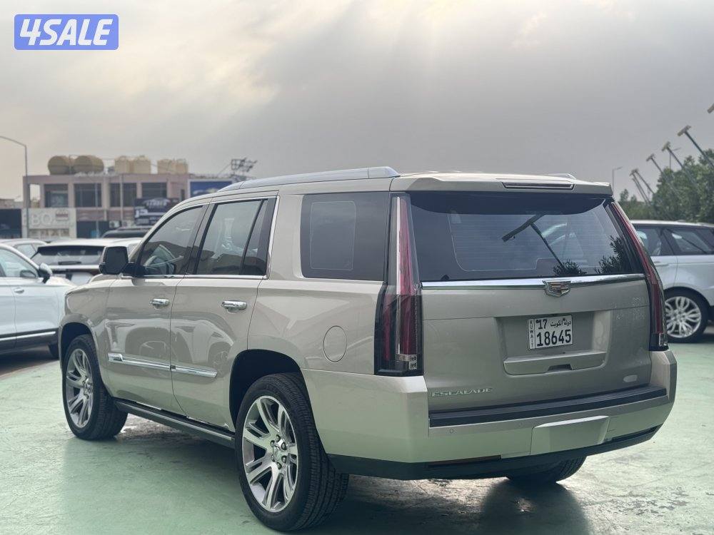 للبيع اسكاليد2015 صبغ وكاله8