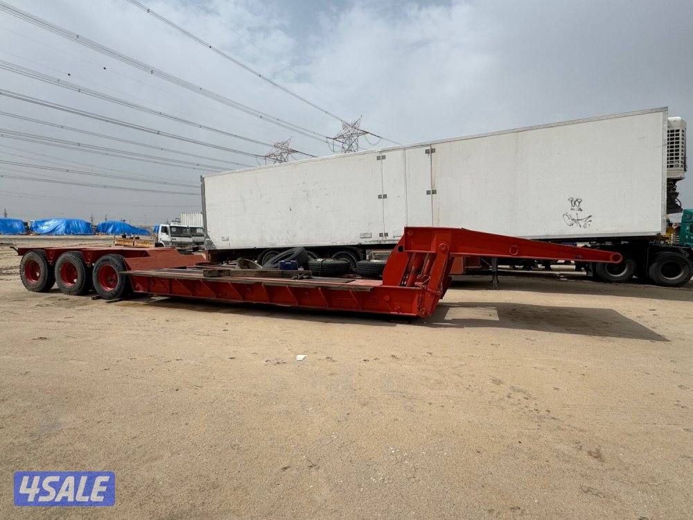 لوبد أمريكي0