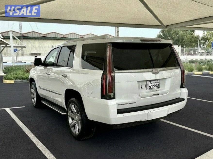 كاديلاك اسكاليد - الموديل:2016 - العداد1904