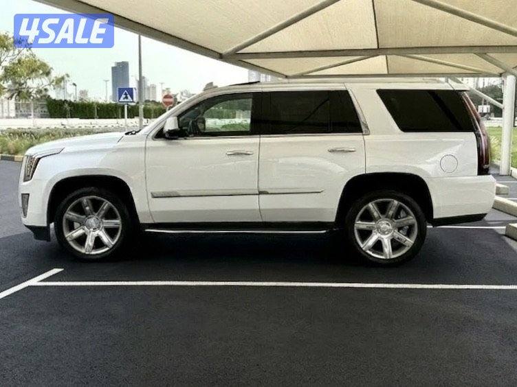 كاديلاك اسكاليد - الموديل:2016 - العداد1903