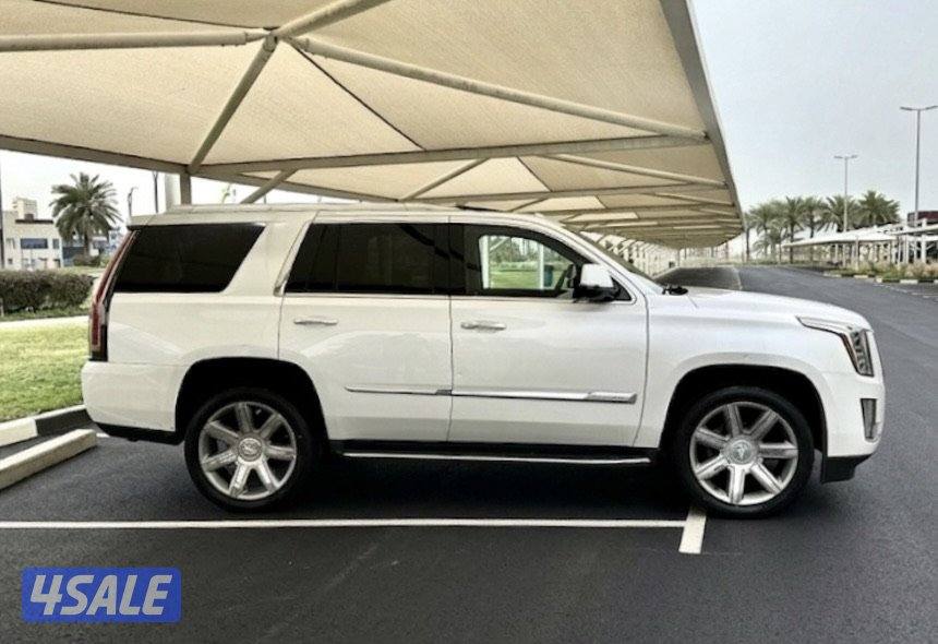 كاديلاك اسكاليد - الموديل:2016 - العداد1907