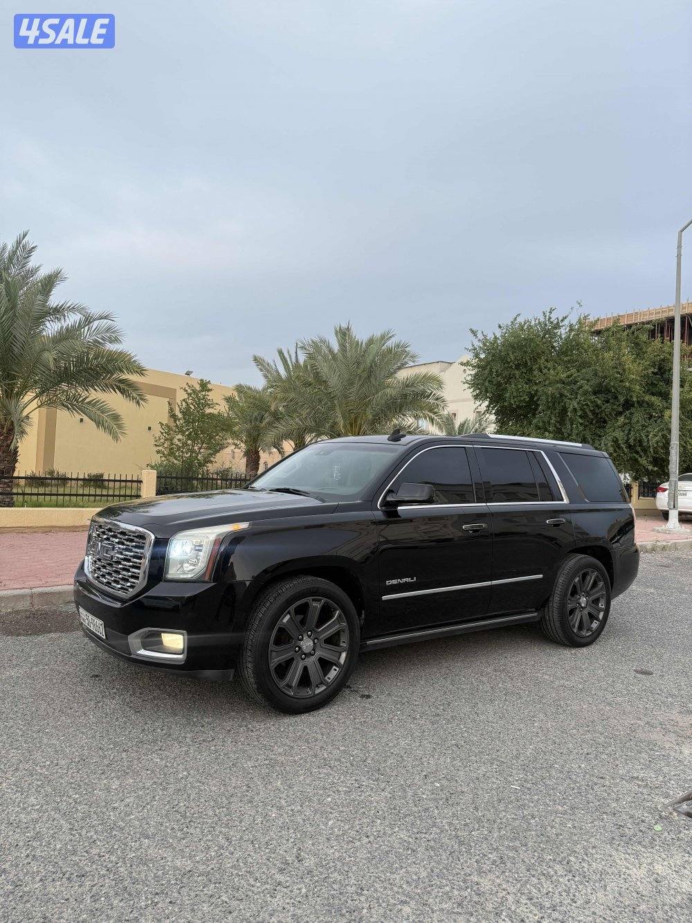 يوكن دينالي صبغ الوكالة0