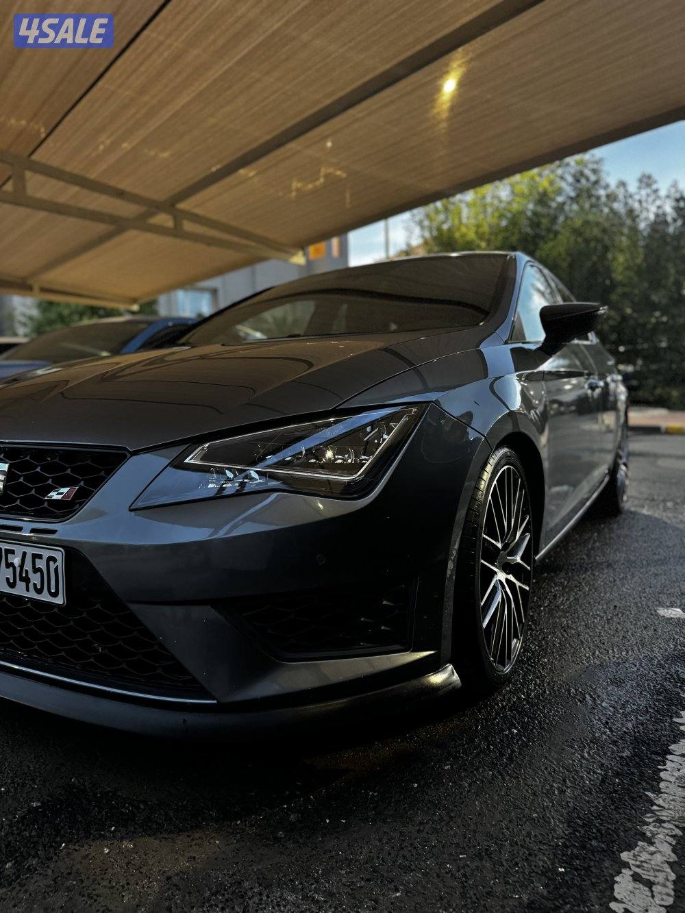 ليون كوبرا 20166