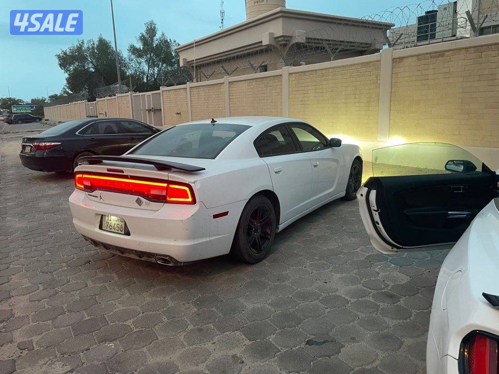 الصليبيخات قطعه ١0