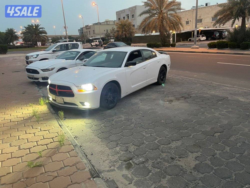 الصليبيخات قطعه ١1