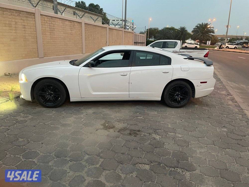 الصليبيخات قطعه ١3