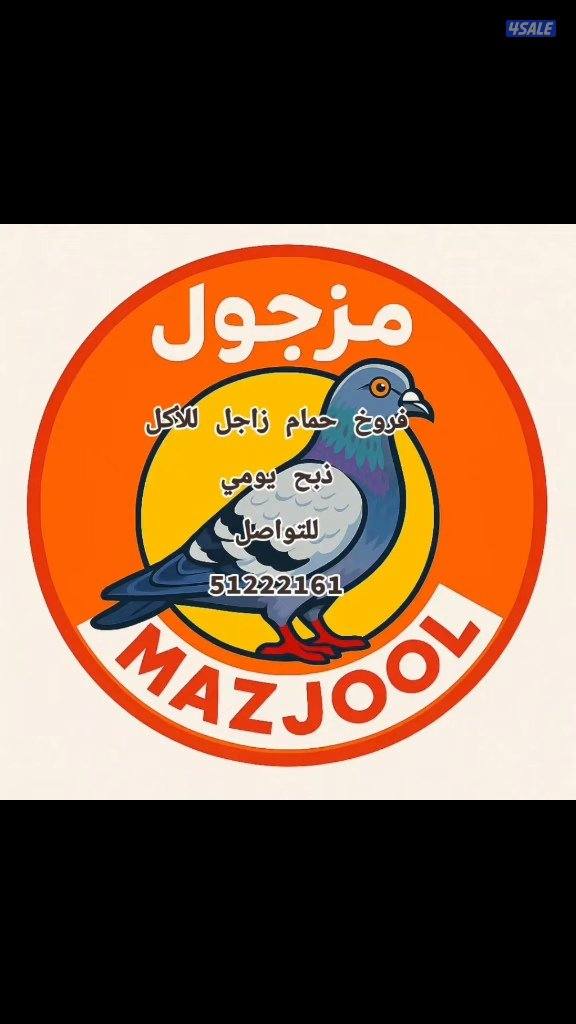 فروخ زاجل للأكل1