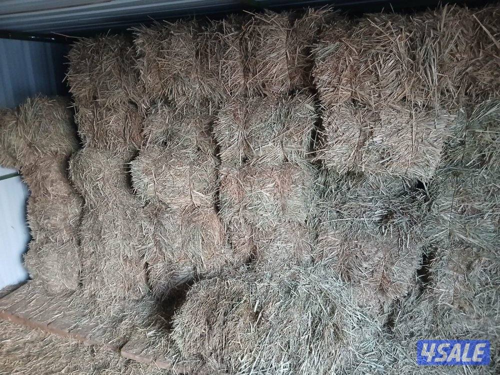 ربطات بلوبنك العدد1500