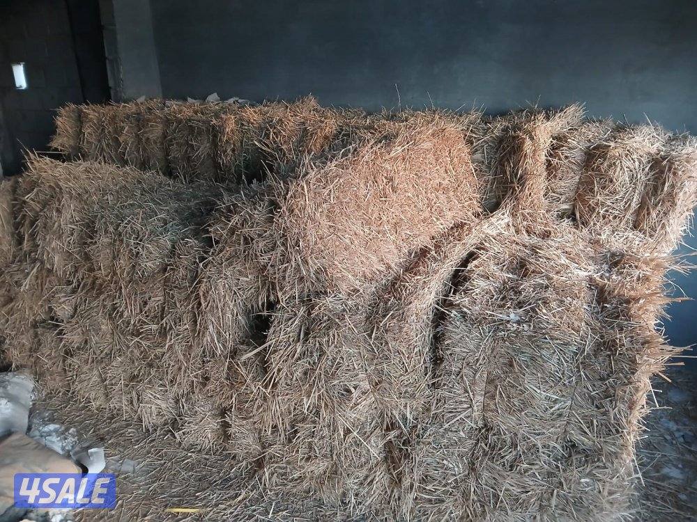 ربطات بلوبنك العدد1501