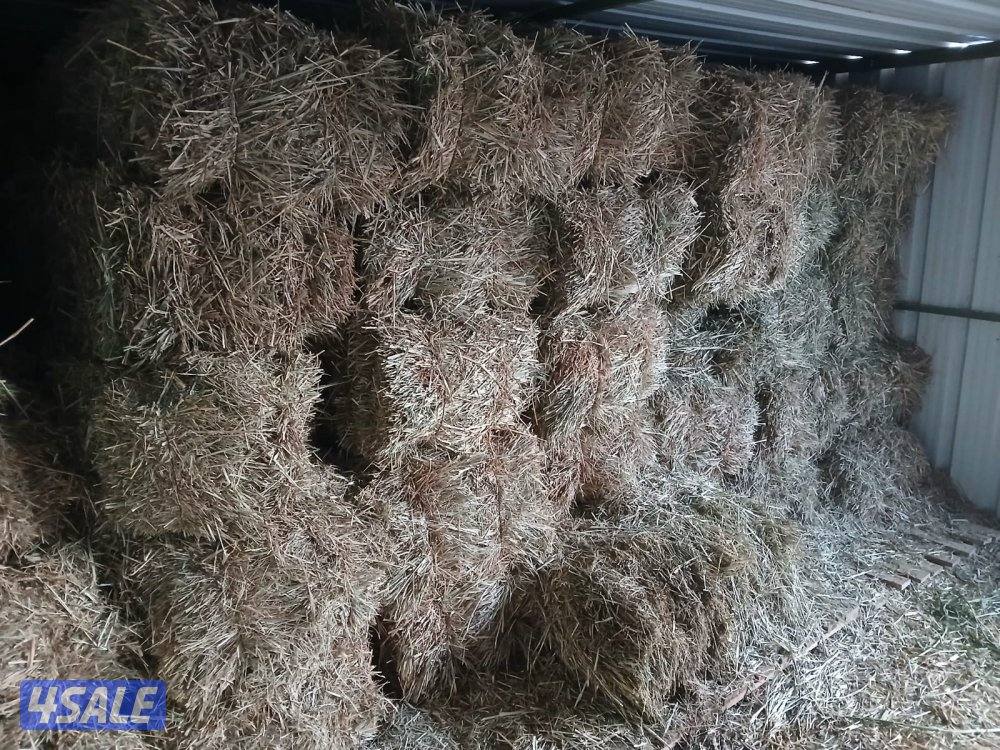 ربطات بلوبنك العدد1502