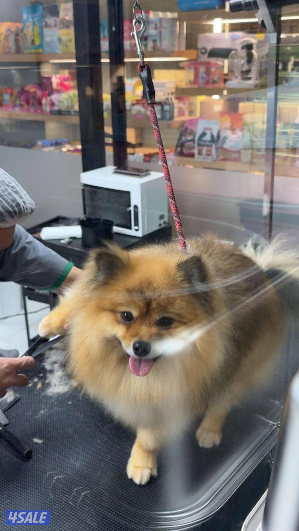 المطلاع قطعه 2ش6 الجهراء1