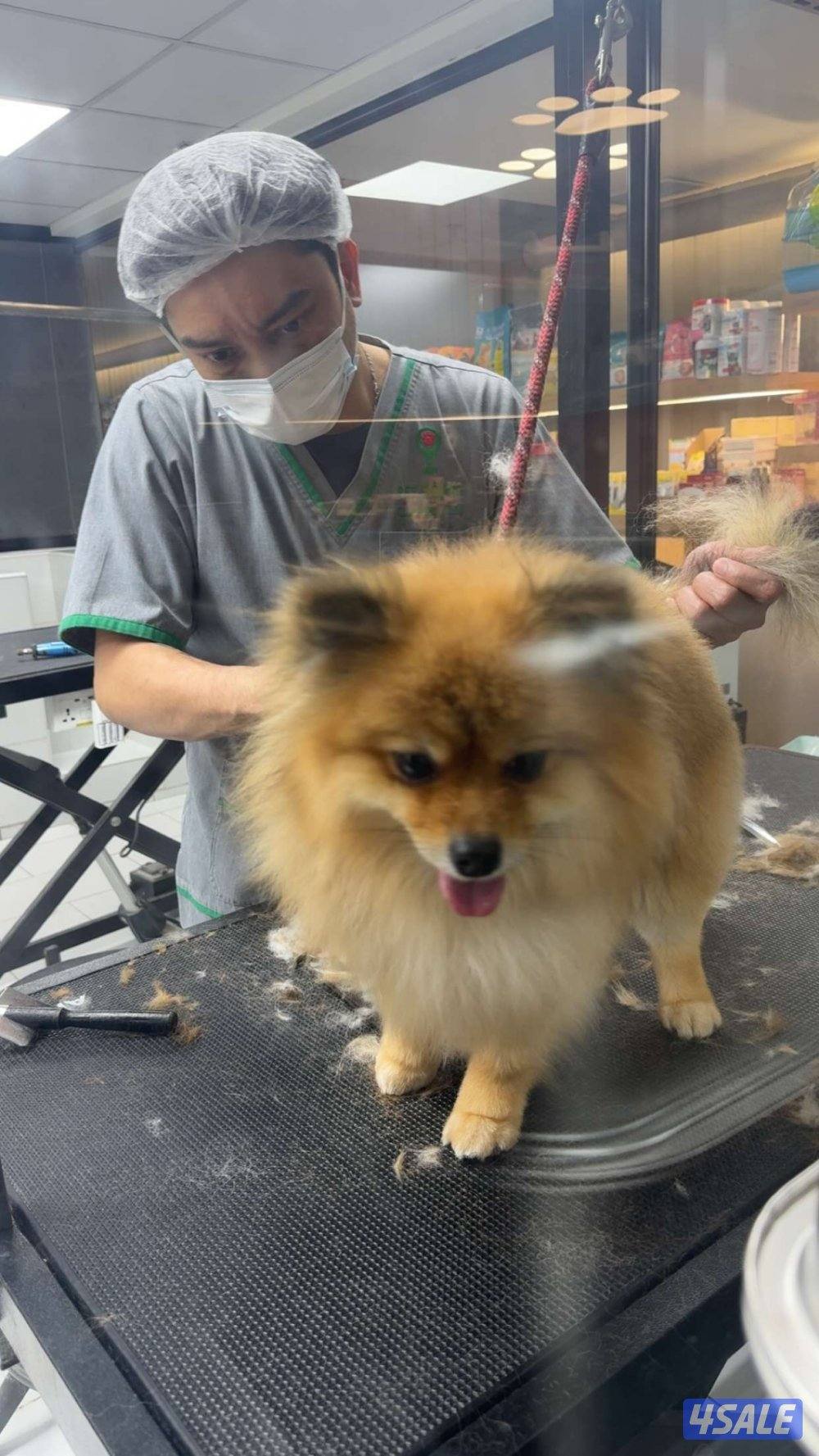 المطلاع قطعه 2ش6 الجهراء2