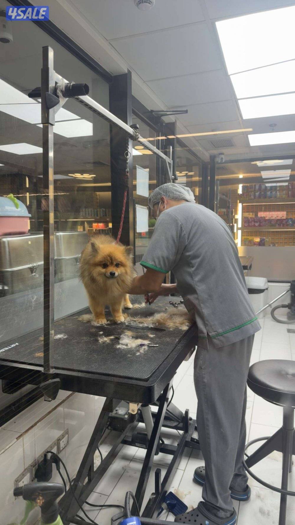 المطلاع قطعه 2ش6 الجهراء5