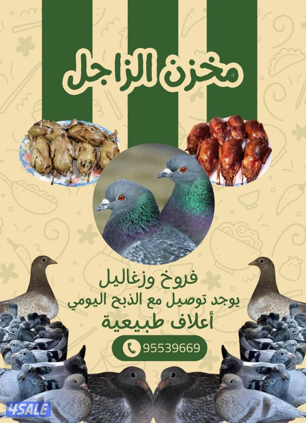 زغاليل زاجل0