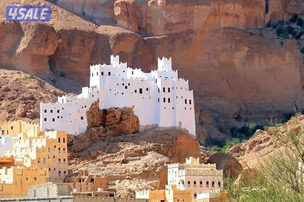 شاب يمني ابحث عن عمل يوجد رخصة قيادة عامه0