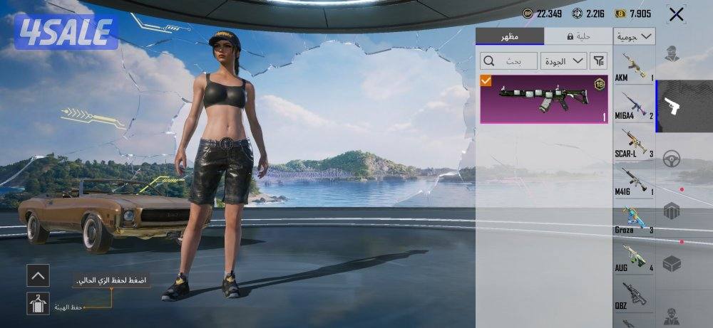 حساب ببجي لفل 728