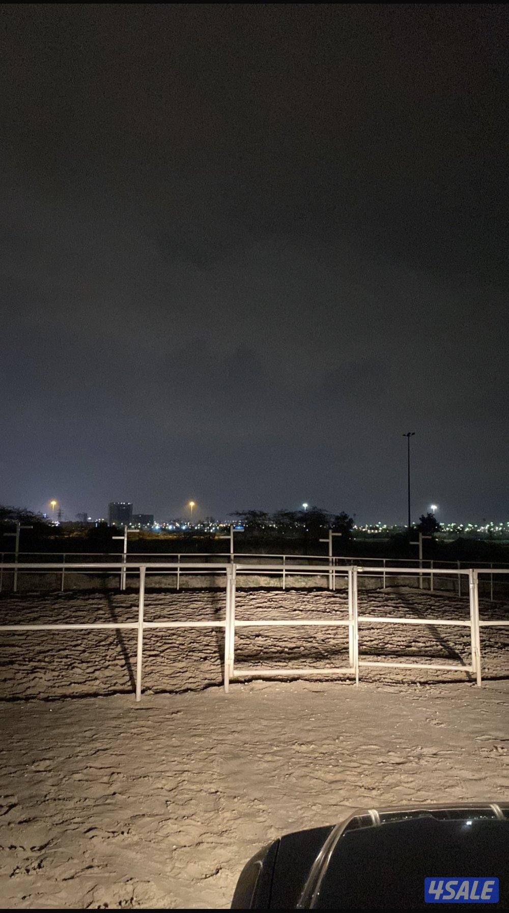 بناجر يوسفيه وبادوك1