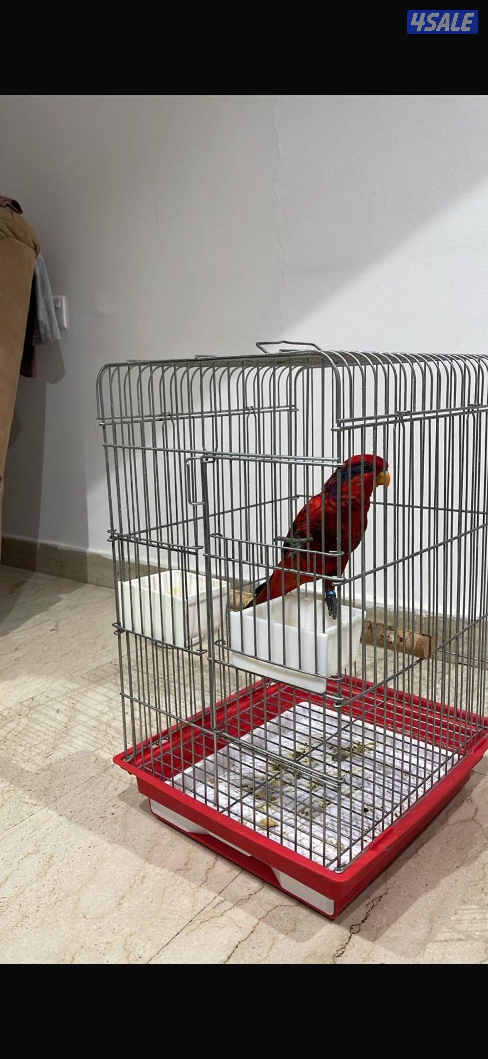 جابر الاحمد0