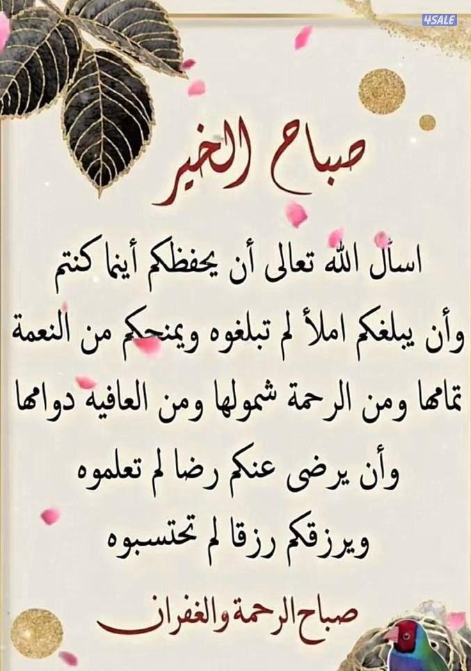 مدر سة رياضيات خبره "وان احسنتم احسنتم لأنفسكم"2