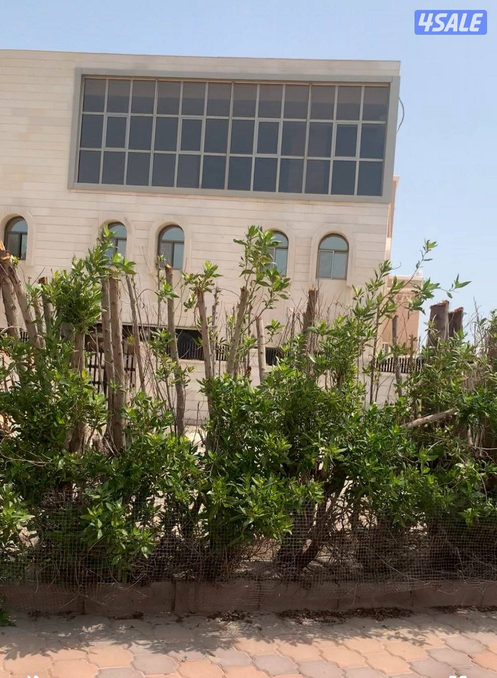 للايجار بيت بالشامية0