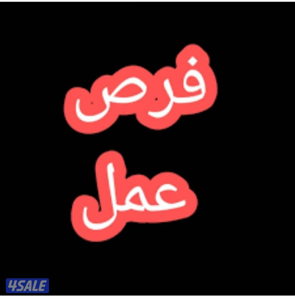 مطلوب كهربائى0