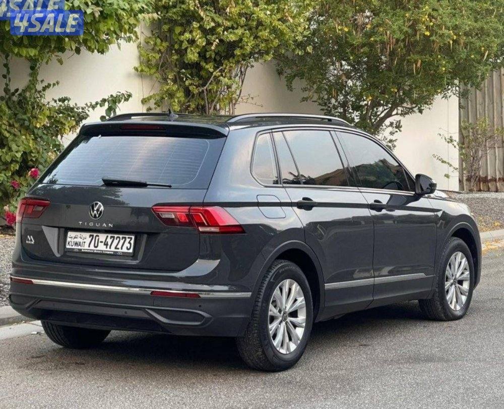 الرميثيه قطعه ٤ بحاله المصنع صبغ الوكاله7