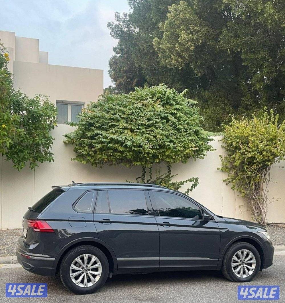 الرميثيه قطعه ٤ بحاله المصنع صبغ الوكاله8