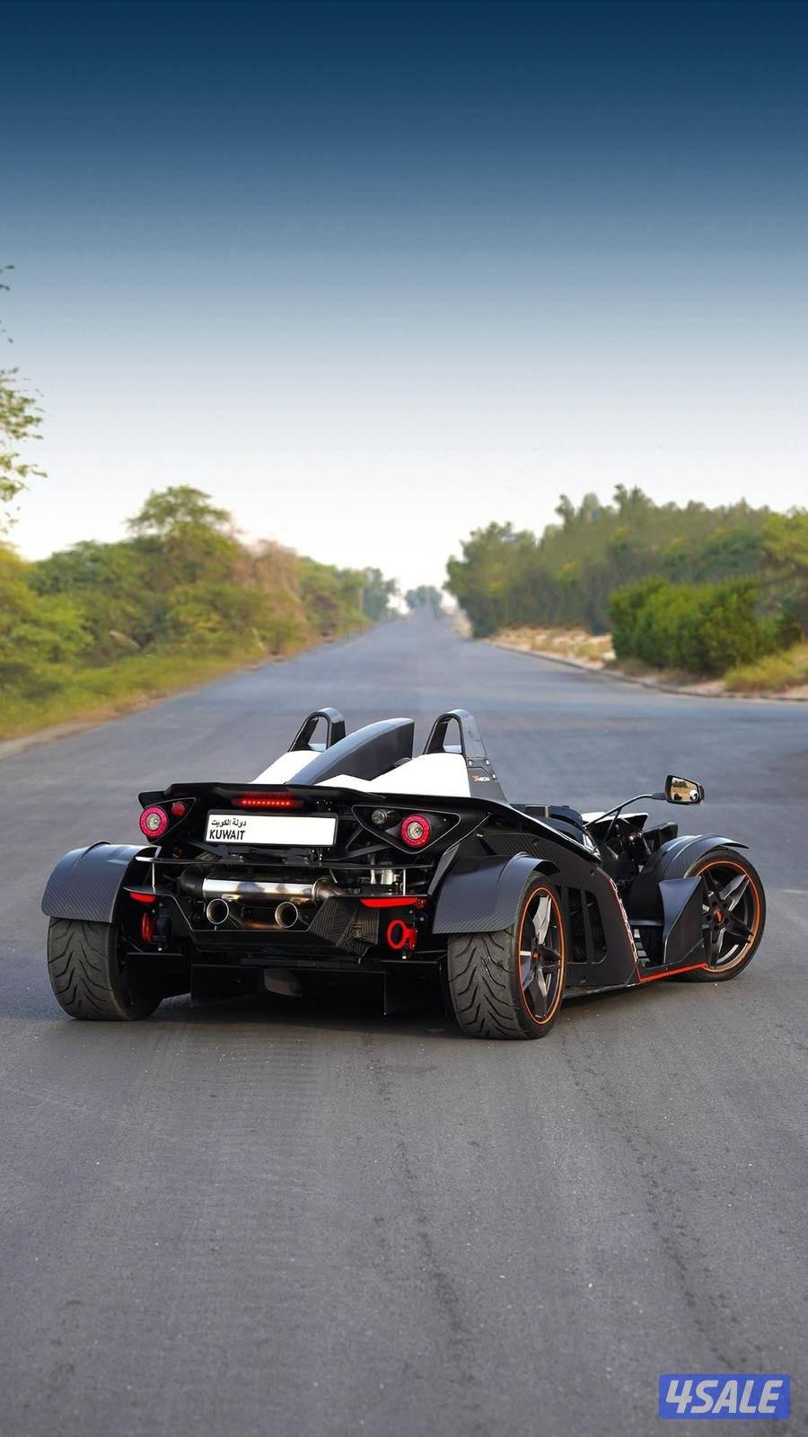 KTM X-BOW _20093
