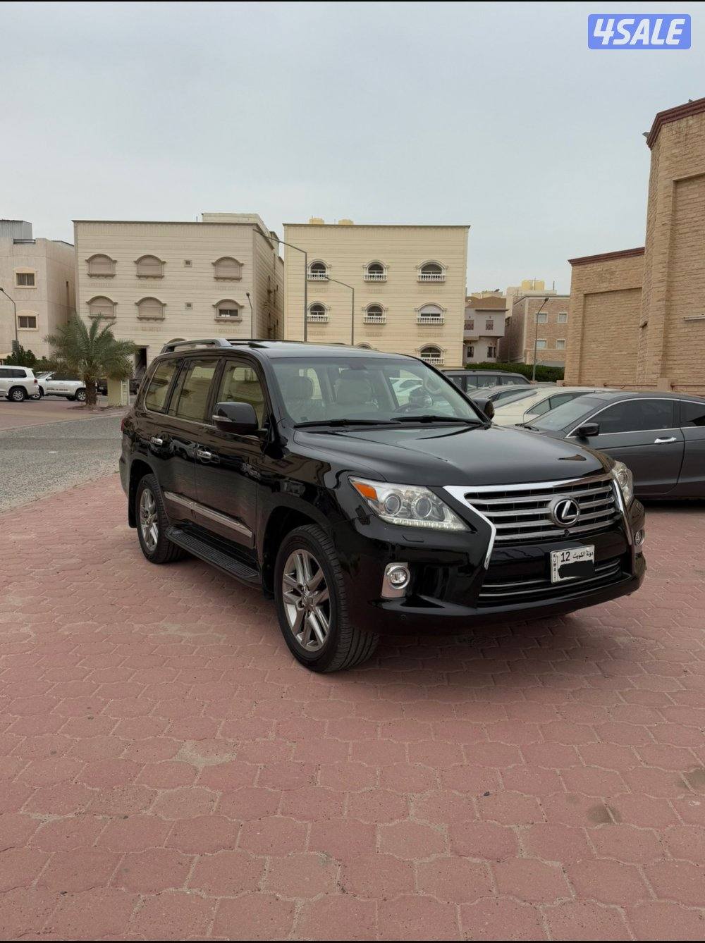 صبغ الوكاله6