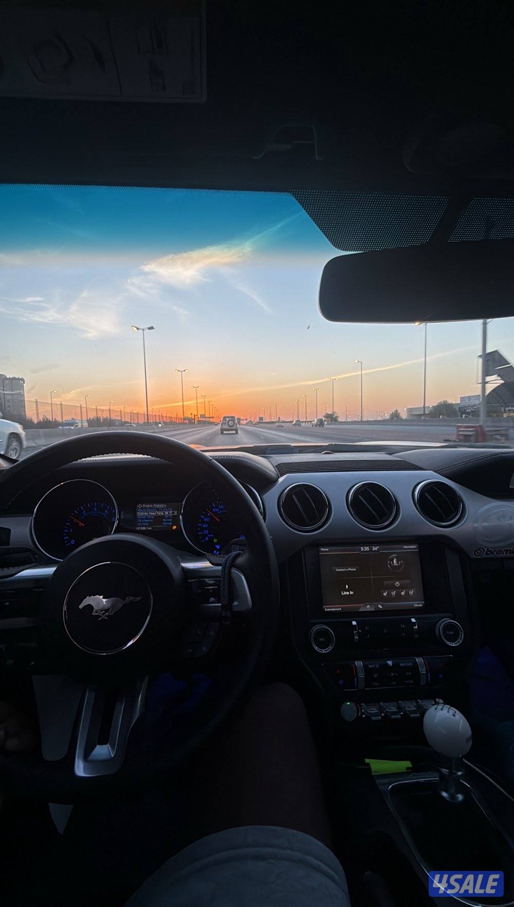 موستنق قير عادي الفل بريميوم كاندي رد2