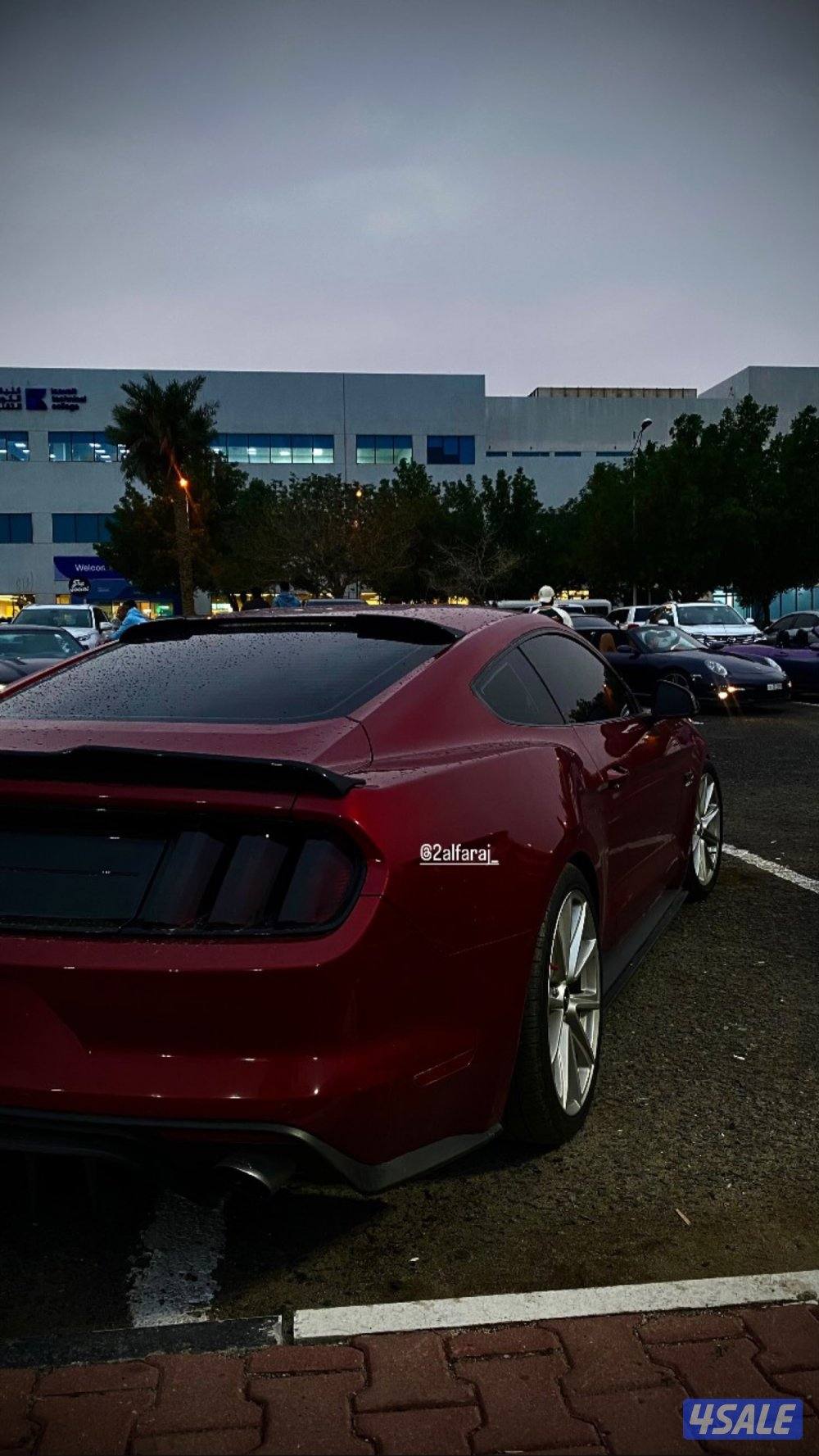 موستنق قير عادي الفل بريميوم كاندي رد3