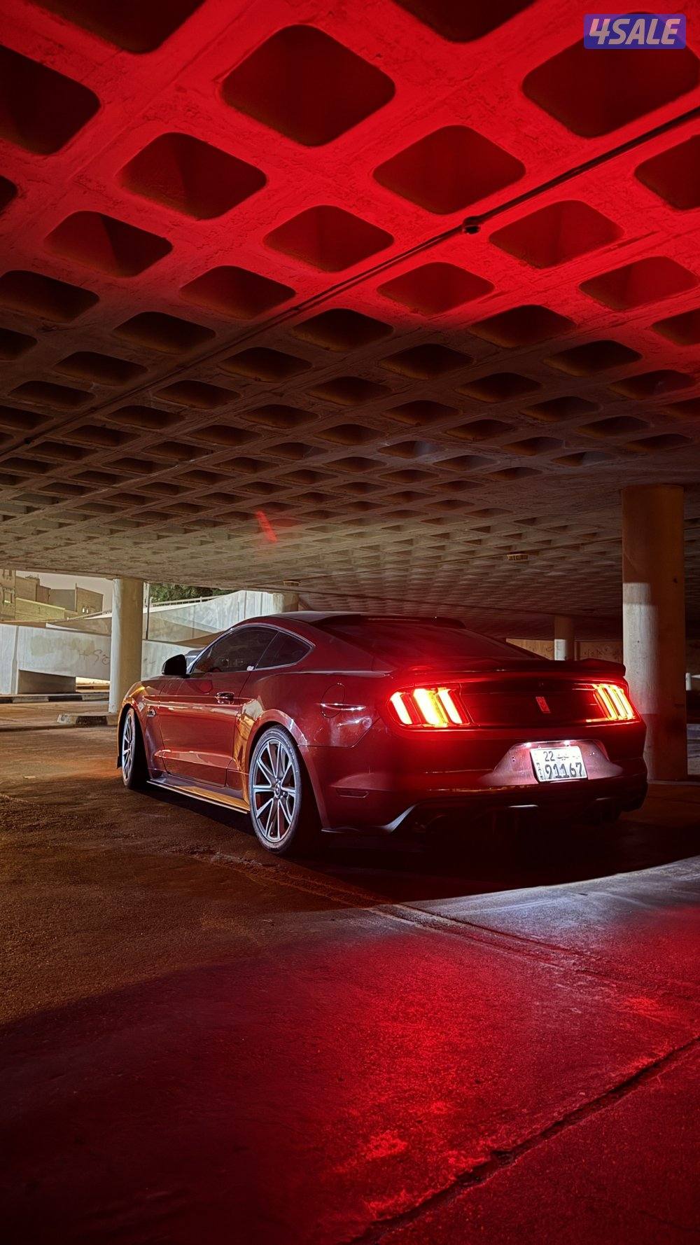 موستنق قير عادي الفل بريميوم كاندي رد5