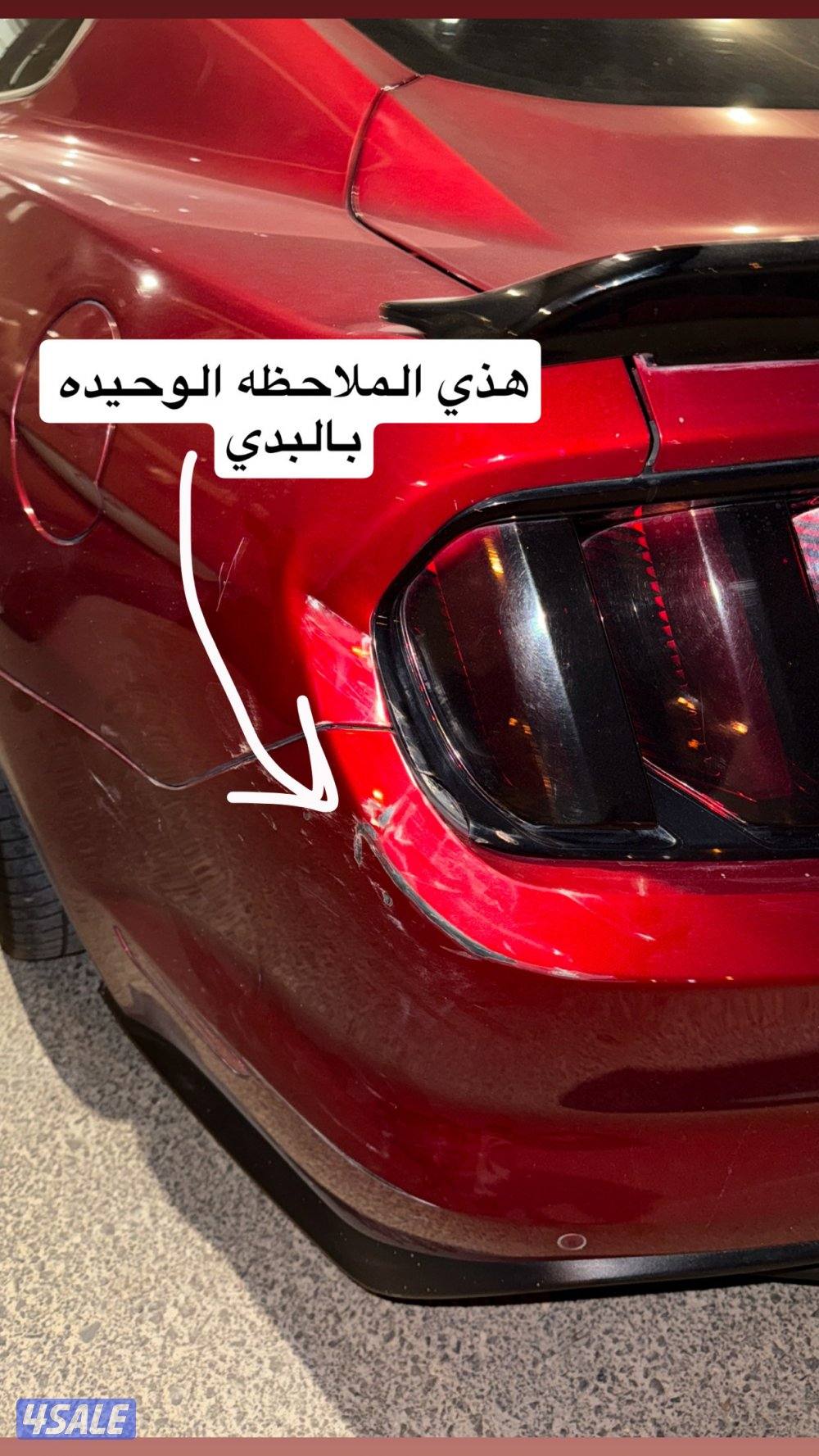 موستنق قير عادي الفل بريميوم كاندي رد6