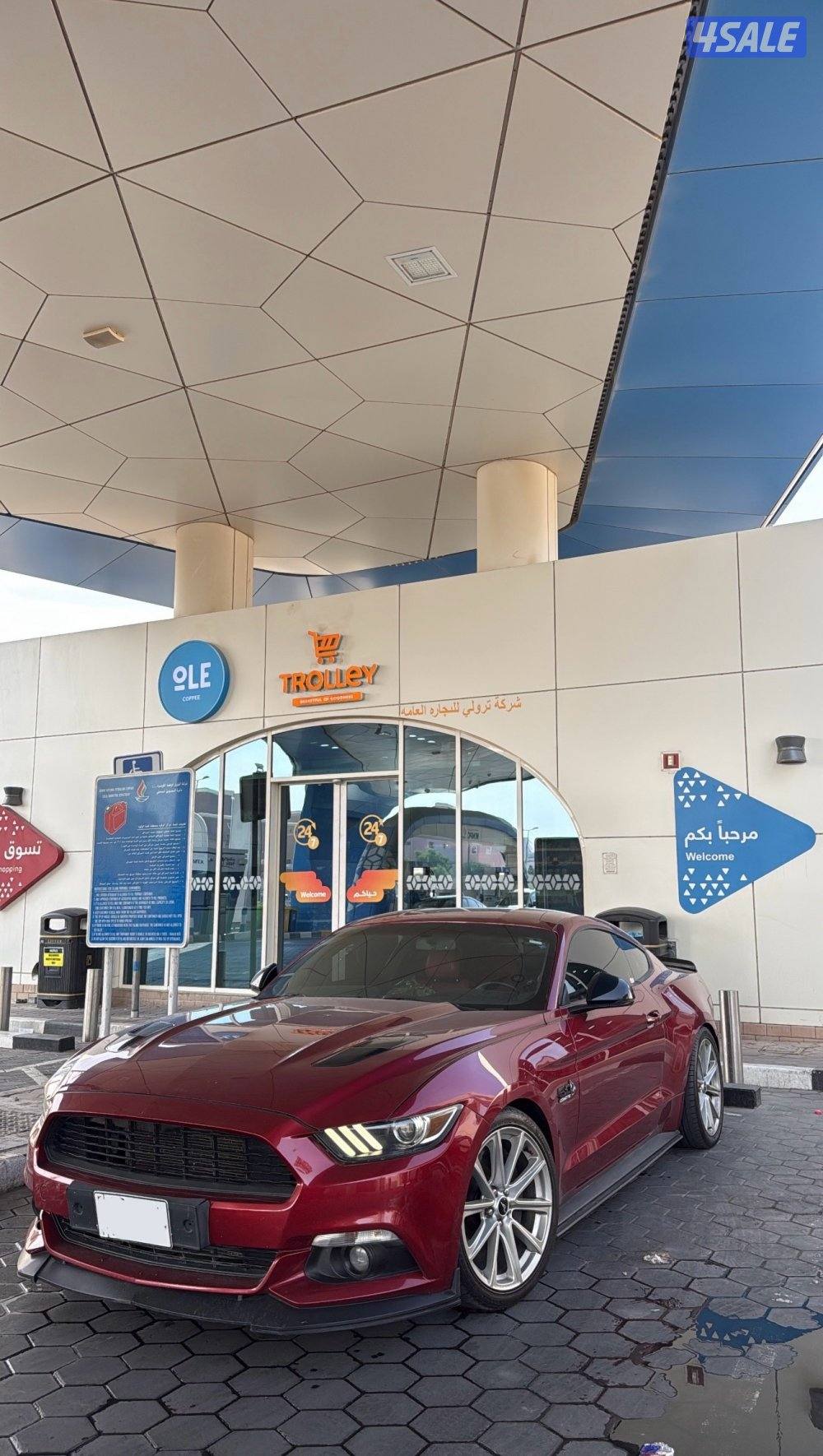 موستنق قير عادي الفل بريميوم كاندي رد7