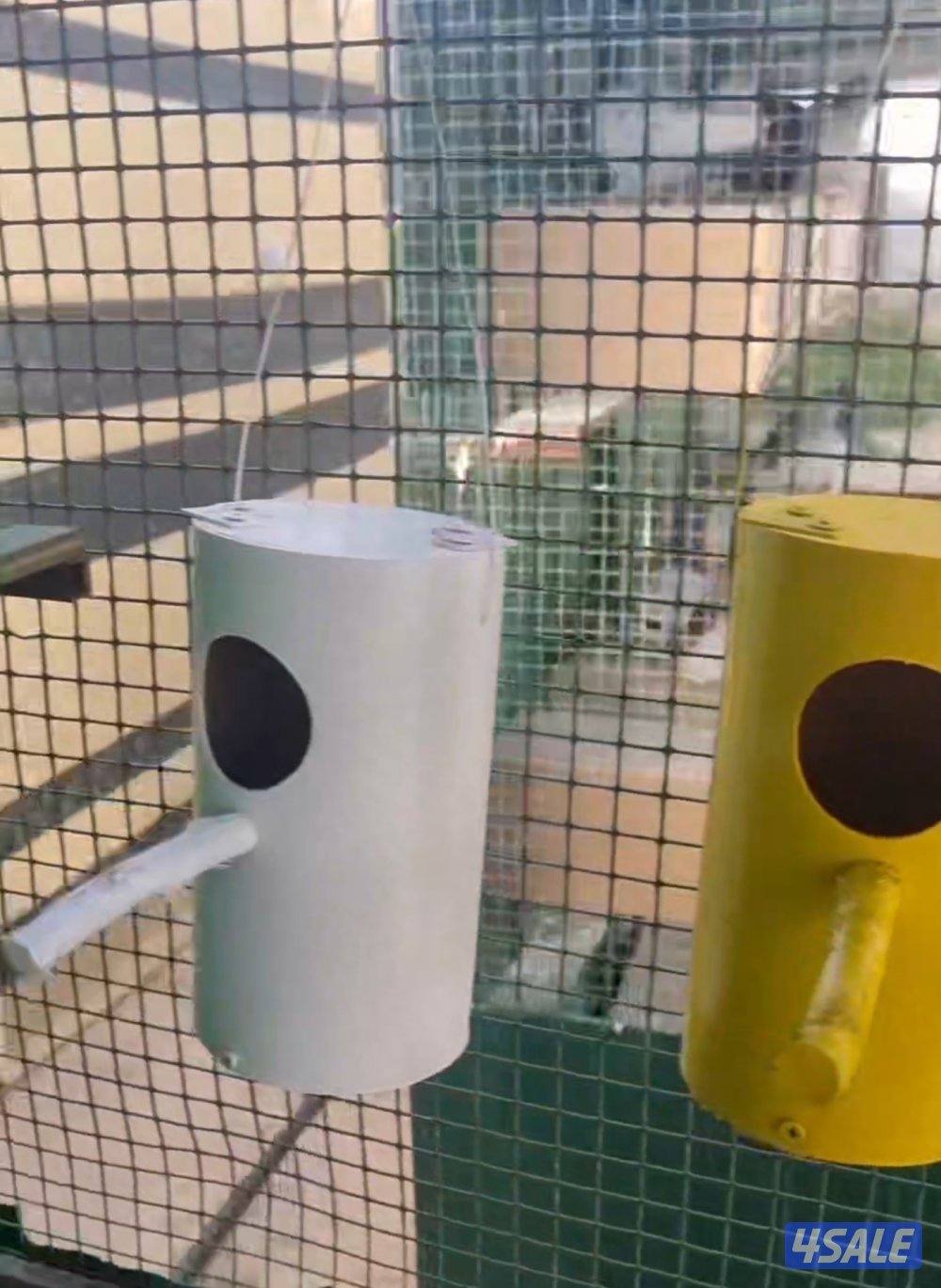 بيوت زيبرا وجاوه وكروان وبيابي0