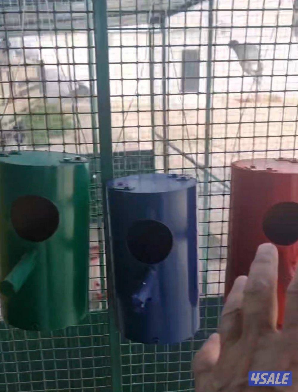 بيوت زيبرا وجاوه وكروان وبيابي1