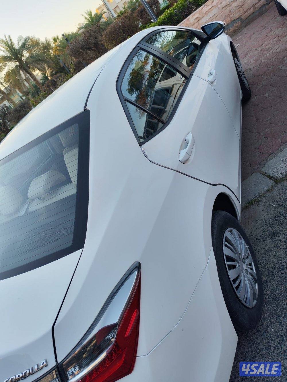 للبيع كوريلا0