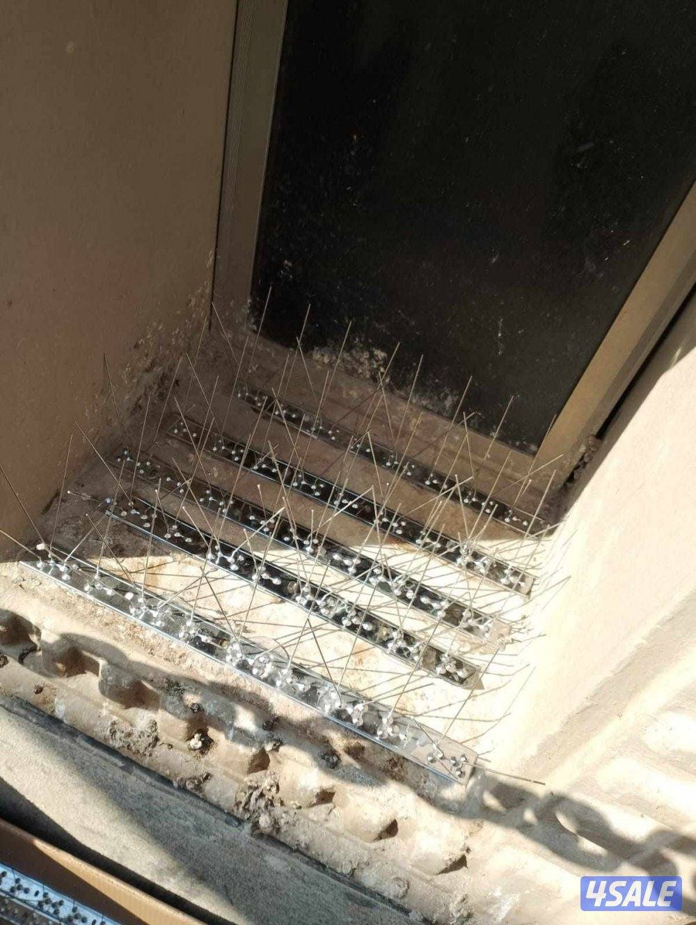 طارد الحمام2